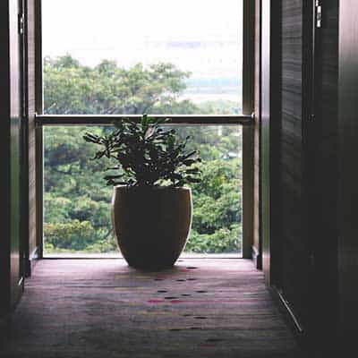 Flower pot in the balcony